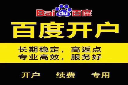 SEM竞价代运营：案例展示广告投放优化技巧